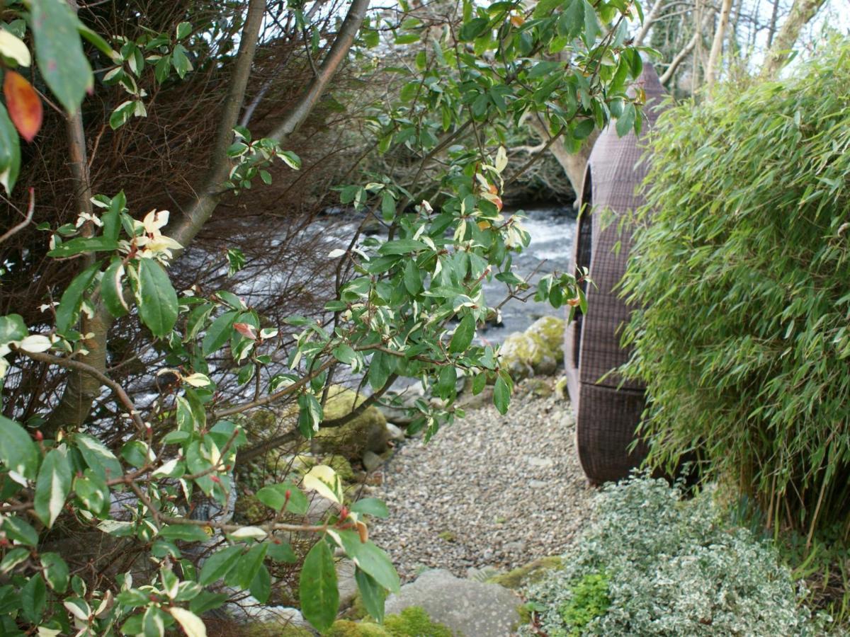 Talybont Bed And Breakfast Barmouth Exteriör bild